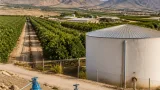 La CHS tramita el uso de agua desalada en 342,15 hectáreas de Puerto Lumbreras