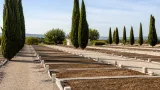 El PSOE reclama al Ayuntamiento de Cartagena parcelas funerarias musulmanas