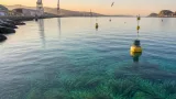 El Puerto de Cartagena recibe un premio nacional por su gestión de la biodiversidad marina