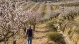 La producción ecológica supera el 30% de la superficie agraria útil de la Región