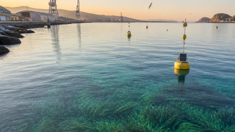 El Puerto de Cartagena recibe un premio nacional por su gestión de la biodiversidad marina