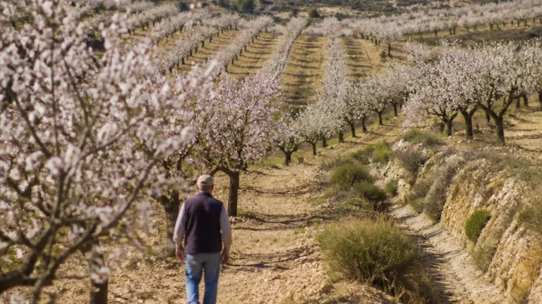 La producción ecológica supera el 30% de la superficie agraria útil de la Región